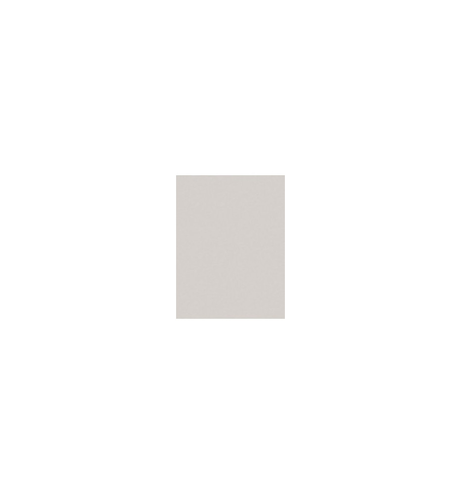 Gris Nube 2189